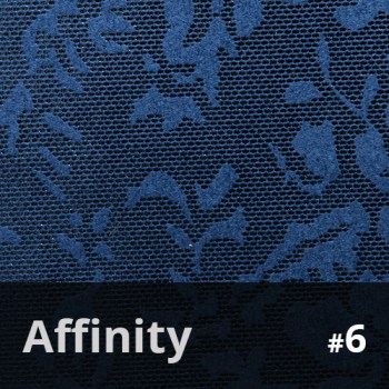 Affinity 6